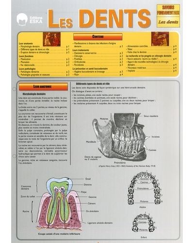 Les dents