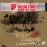 LIVE AT THE FONDA THEATRE/DVD+CD_0
