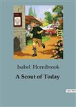 A Scout of Today