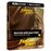 Indiana Jones et le Cadran de la Destinée Édition Collector Limitée Spéciale Fnac Steelbook Blu-ray 4K Ultra HD
