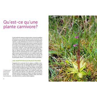 Plantes carnivores - Comment les cultiver et les entretenir facilement