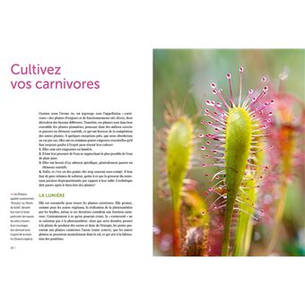 Plantes carnivores - Comment les cultiver et les entretenir facilement