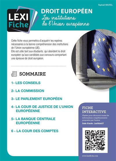 Droit européen, Les institutions de l'Union européenne - Raphaël Maurel - broché