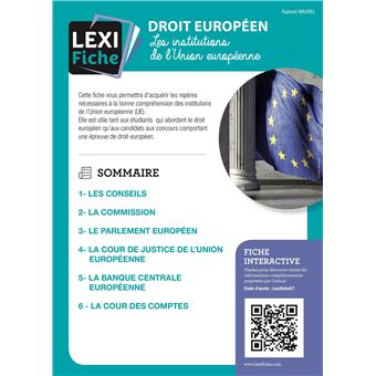 Droit européen, Les institutions de l'Union européenne