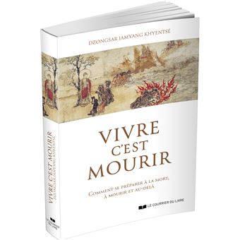 Vivre c'est mourir - Comment se préparer à la mort, à mourir et au-delà