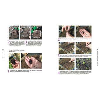 Les bons plants d'Elise - Révélez la semeuse ou le semeur citoyen qui sommeille en vous !