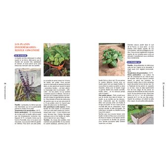 Les bons plants d'Elise - Révélez la semeuse ou le semeur citoyen qui sommeille en vous !