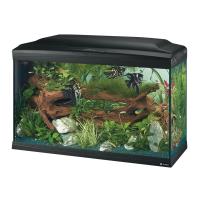 FERPLAST FND AQUARIUM CLASSIQ FERPLAST 1
