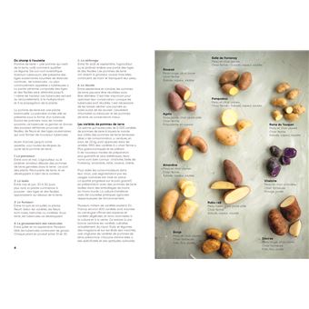 Patates - 50 recettes pour avoir la frite