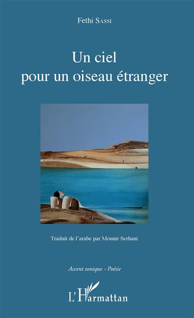 Un ciel pour un oiseau etranger