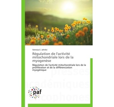 Régulation de l'activité mitochondriale lors de la myogenèse