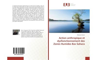 Action anthropique et dysfonctionnement des Zones Humides Bas Sahara