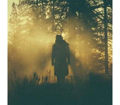 Beyond Where the giants roam