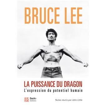 La puissance du dragon