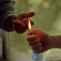 Mono No Aware Vinyle Transparent