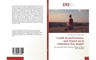 L'audit de performance, quel impact sur la realisation d'un