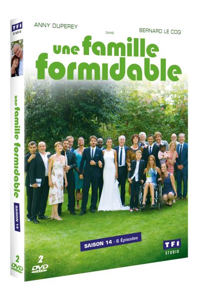 Une famille formidable Saison 14 DVD