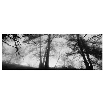 La vie secrete des hauts autour du col de turini