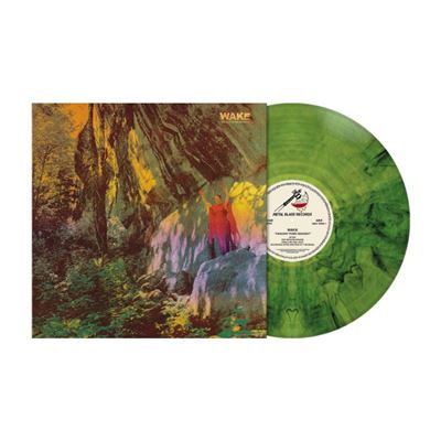 Thought From Descent Vinyle Coloré