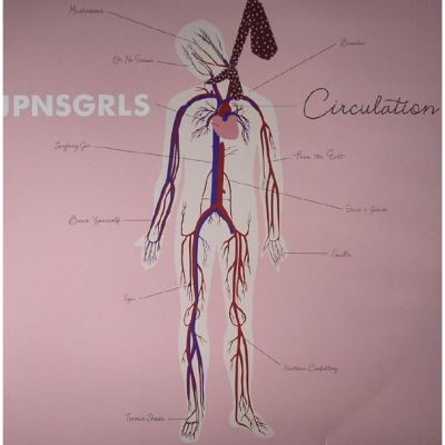 Circulation - Inclus coupon MP3
