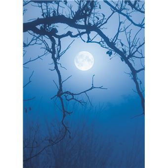 Réussir son potager avec la Lune 2021-2022