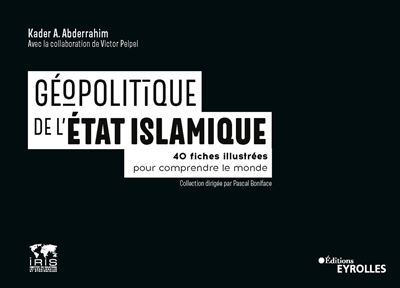 Geopolitique du groupe etat islamique 40 fiches illustrees