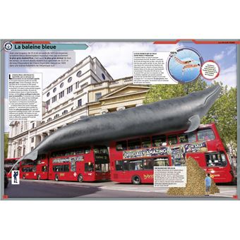 Guinness World Records 2023