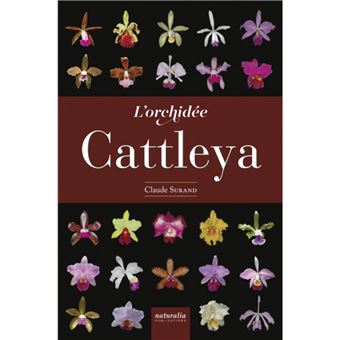 L'orchidée Cattleya - 1