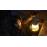 American Horror StoryAmerican Horror Story Saison 6 Roanoke DVD_9