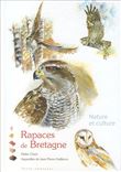 Rapaces de bretagne