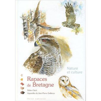 Rapaces de bretagne
