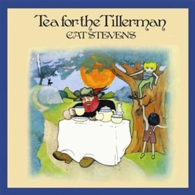 Tea for the Tillerman - DVD