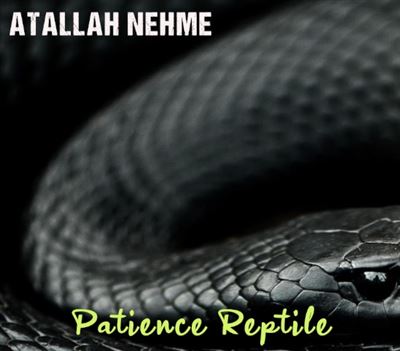 Patience reptile