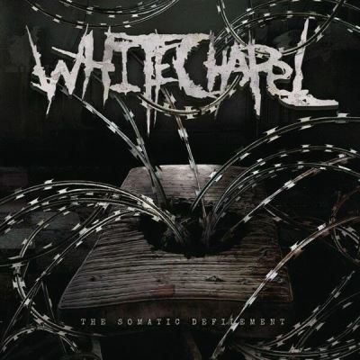 The Somatic Defilement