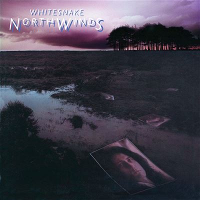 NorthWinds Édition Limitée