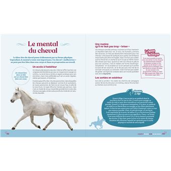 Mathilde & Sligo - Cavalière !