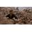 DECHIRURE-FR-2DVD_4