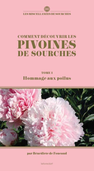 Comment découvrir les pivoines de Sourches
