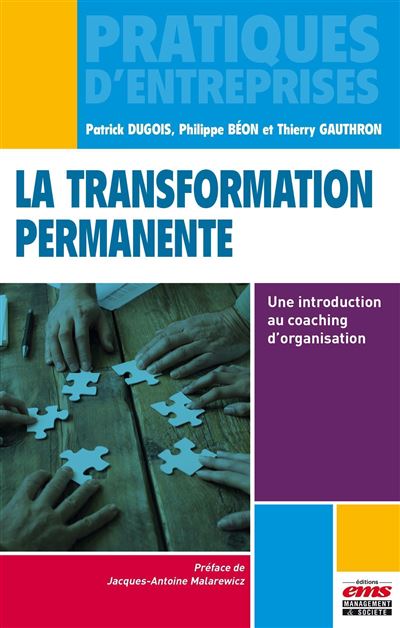 La transformation permanente - Patrick Dugois - broché