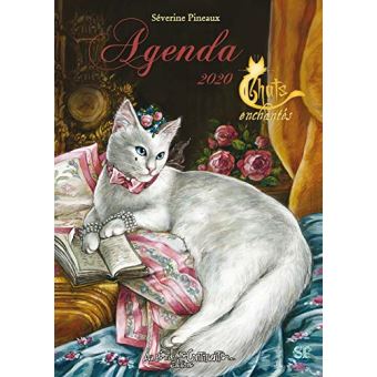 Agenda 2020 Les Chats Enchantes Broche Severine Pineaux Achat Livre Fnac