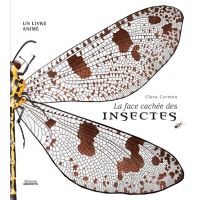 La face cachée des insectes