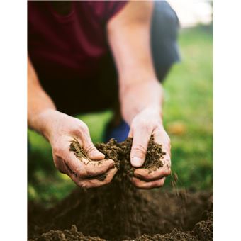Mon potager en permaculture. Nourricier - Durable - Écologique