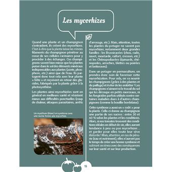 Mon potager en permaculture. Nourricier - Durable - Écologique