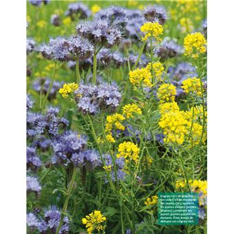 Mon potager en permaculture. Nourricier - Durable - Écologique