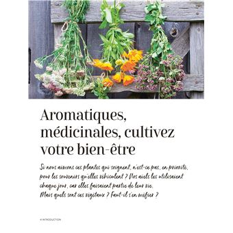 Un jardin santé - Aromates et plantes à tisanes