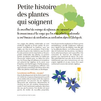 Un jardin santé - Aromates et plantes à tisanes