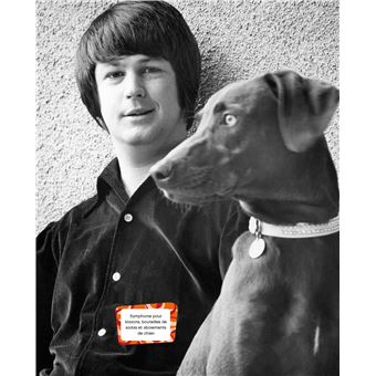 The Beach Boys - Surf's Up