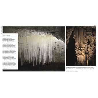 Les Forces de la nature en France