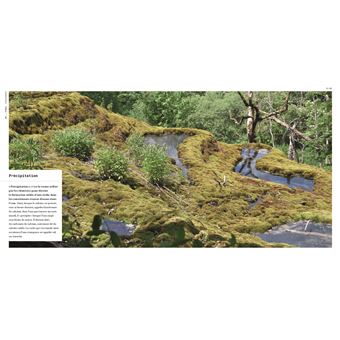 Les Forces de la nature en France