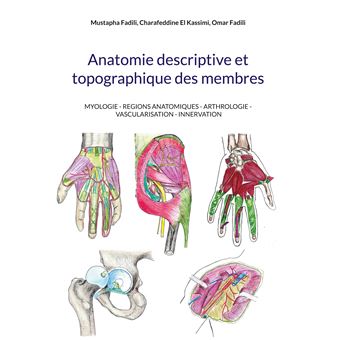 Anatomie descriptive et topographique des membres